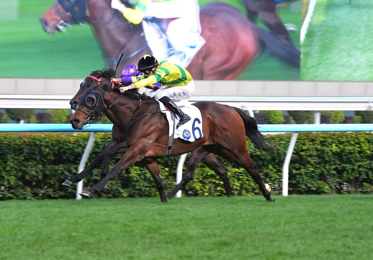 Billy Jackson Stops tweet media