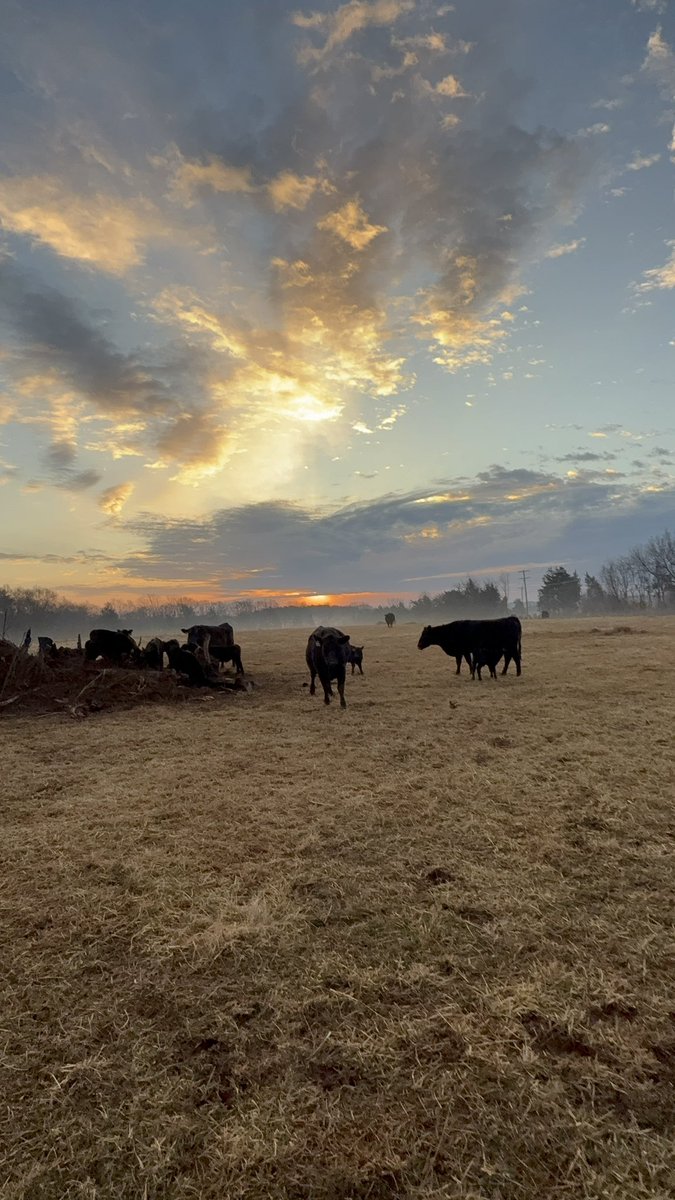 Peanut Coleman tweet media