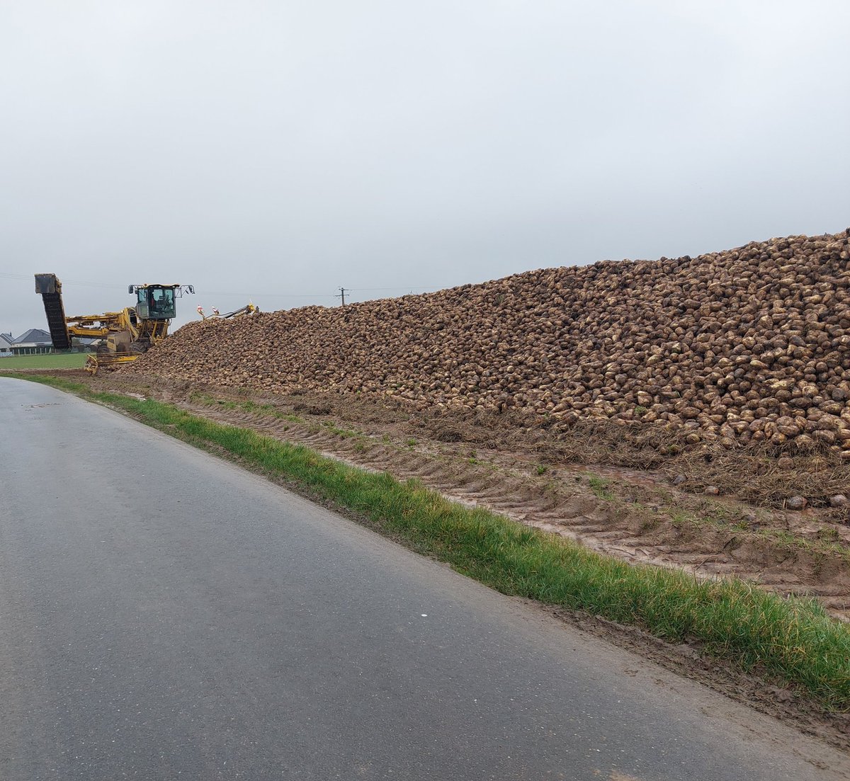 Delphine L.🚜🌽🐮🌾 tweet media