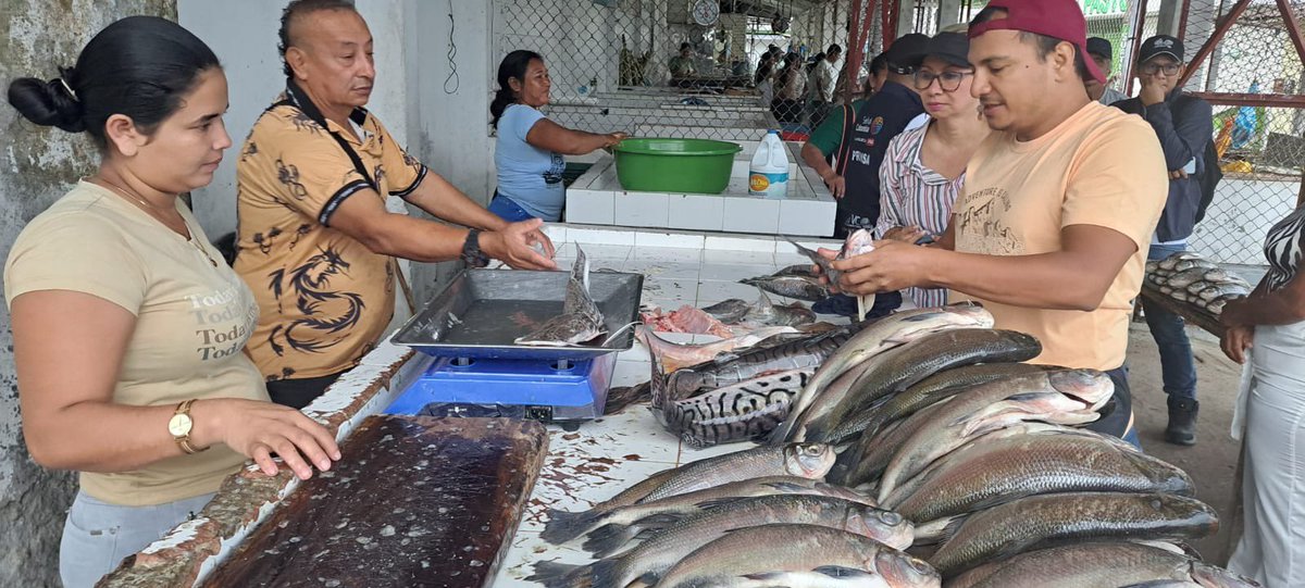 InstitutoSINCHI's tweet photo. En Puerto Leguízamo, pescadores y pescadoras de 🇨🇴 y 🇵🇪 intercambiaron experiencias sobre el manejo comunitario de los recursos pesqueros e hidrobiológicos.

Este espacio permitió avanzar en:
🎣 Identificar acuerdos y lineamientos conjuntos.
📊 Estrategias de monitoreo participativo.
🌱 Retos y buenas prácticas pesqueras.
🤝 Promover la cooperación entre pescadores.

En la Amazonia se registran más de 2.400 especies de peces, lo que la convierte en la cuenca hidrográfica más diversa del planeta. Sin embargo, el cambio climático y la presión sobre los recursos hacen urgente fortalecer la gestión sostenible basada en información científica y gobernanza local.

Participaron delegaciones de Puerto Nariño y Leticia (Amazonas), Puerto Asís y Puerto Leguízamo (Putumayo), junto con representantes de la comunidad de Escalante, distrito Teniente Manuel Clavero (Perú).

La jornada se desarrolló en el marco del proyecto “Sistema de monitoreo de ecosistemas acuáticos en áreas vulnerables al cambio climático”, financiado por GEF-Cuenca Amazónica, con el apoyo de la Organización del Tratado de Cooperación Amazónica (@OTCAnews) e implementado por el #InstitutoSINCHI, en articulación con Ministerio de Ambiente y Desarrollo Sostenible de Colombia.

🌎 La sostenibilidad de la pesca amazónica exige cooperación transfronteriza, datos confiables y decisiones informadas.

#InstitutoSINCHI #GestiónPesquera #AmazoniaColombiana #CooperaciónFronteriza #CambioClimático