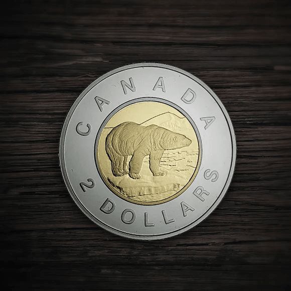 On this day in 1996, the Toonie was introduced by the Government of Canada. While the name Nanuq (polar bear) was suggested to honour the Inuit and Canada's North, Toonie became commonplace. The bear on the Toonie was named Churchill by the Royal Canadian Mint.