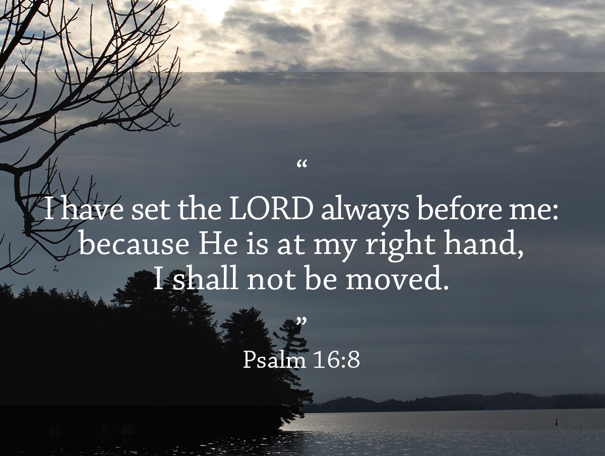 Danny Kwon (@dannykwonphd) on Twitter photo 