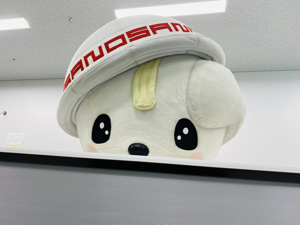 さのまる【こーしき】 (@sanomaru225) / Posts / X