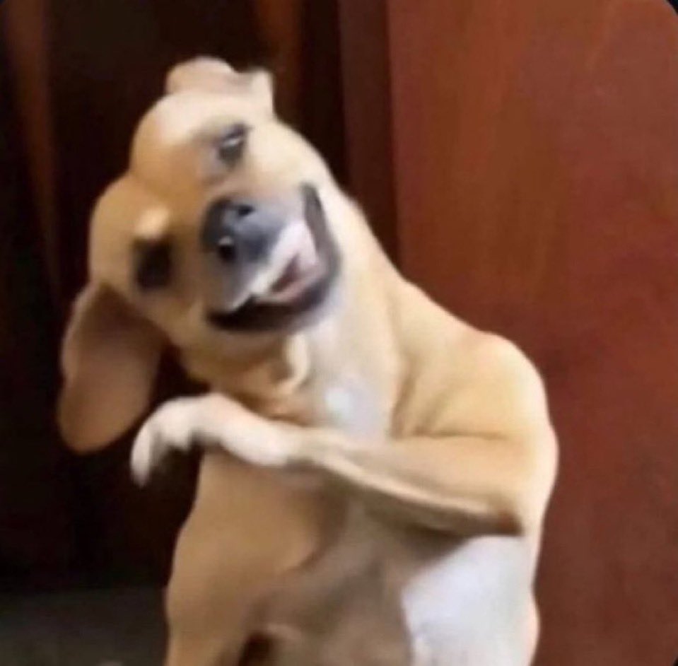 jhohu's tweet photo. Eu desativei o Instagram pra dar um tempo nas redes sociais, mas agora eu não saio do twitter kk. 
Ou seja, serviu de nada, só acabou me aproximando mais de outra rede que eu tava meio afastado. https://t.co/uG0ZO9fmAM