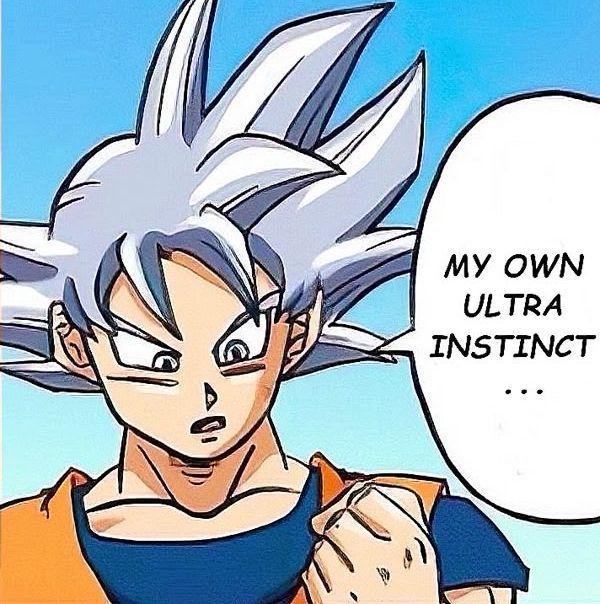 1988.                                          2023