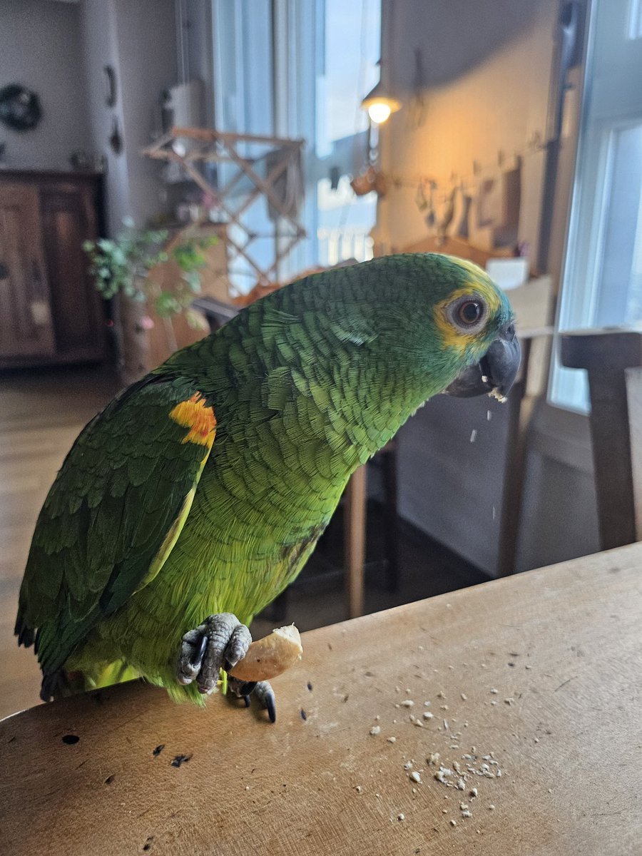 taehyunrobert's tweet photo. Setiap Beomgyu update foto Toto aku selalu kagum sama gimana aestheticnya rumah Beomgyu 🥹 bahkan aku bisa ngerasain hangatnya keluarga Beomgyu dari rumah mereka. Beomgyu bilang kalau rumah Beomgyu itu disusun dan dihias sama Ibu Beomgyu sendiri 🥹 https://t.co/uLnnpjiL6R