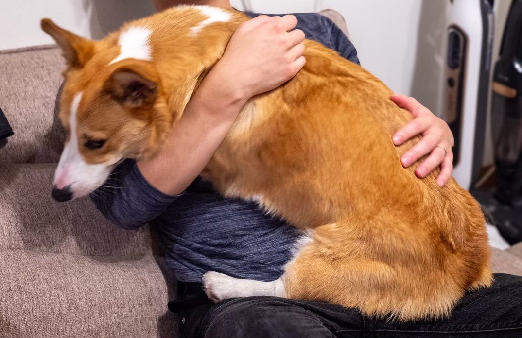 抱っこがのしかかりになってしまった