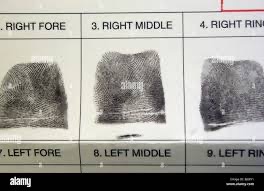 Steve Double tweet media