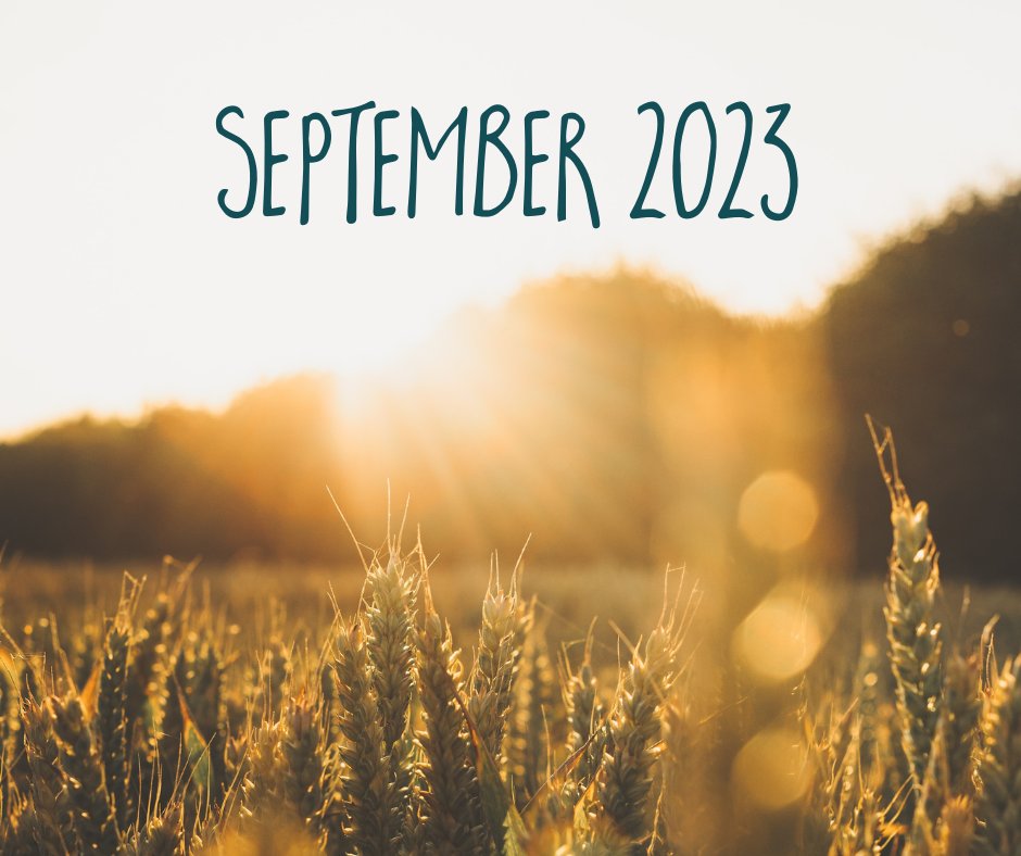 Psychosynthesis Trust tweet media