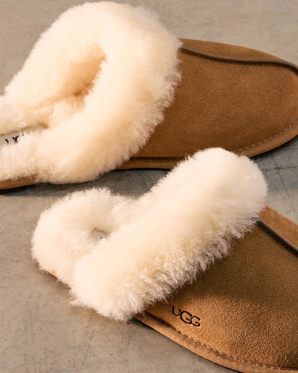 Monks Cross tweet media