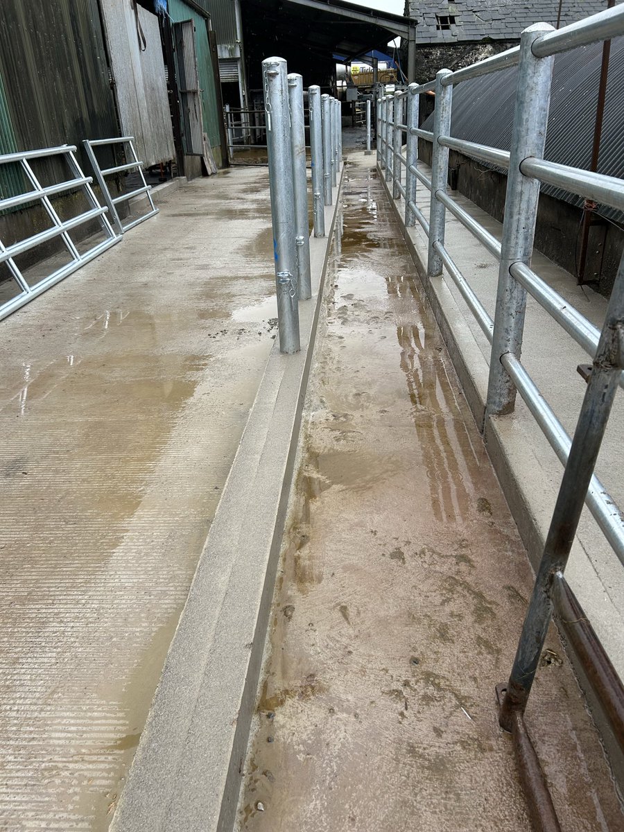 Maeve O Keeffe tweet media