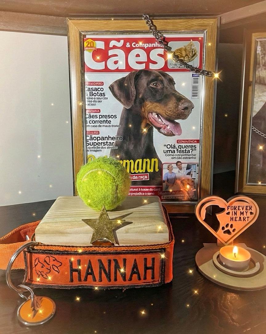 TheDobermanGuy tweet media