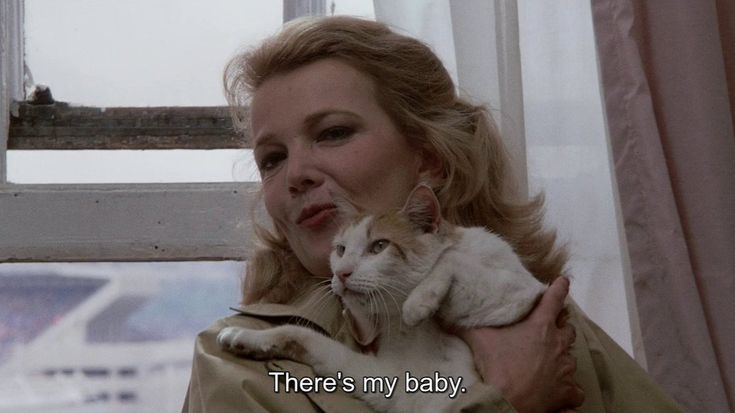 Camilaluz • (@camilasnm) on Twitter photo 