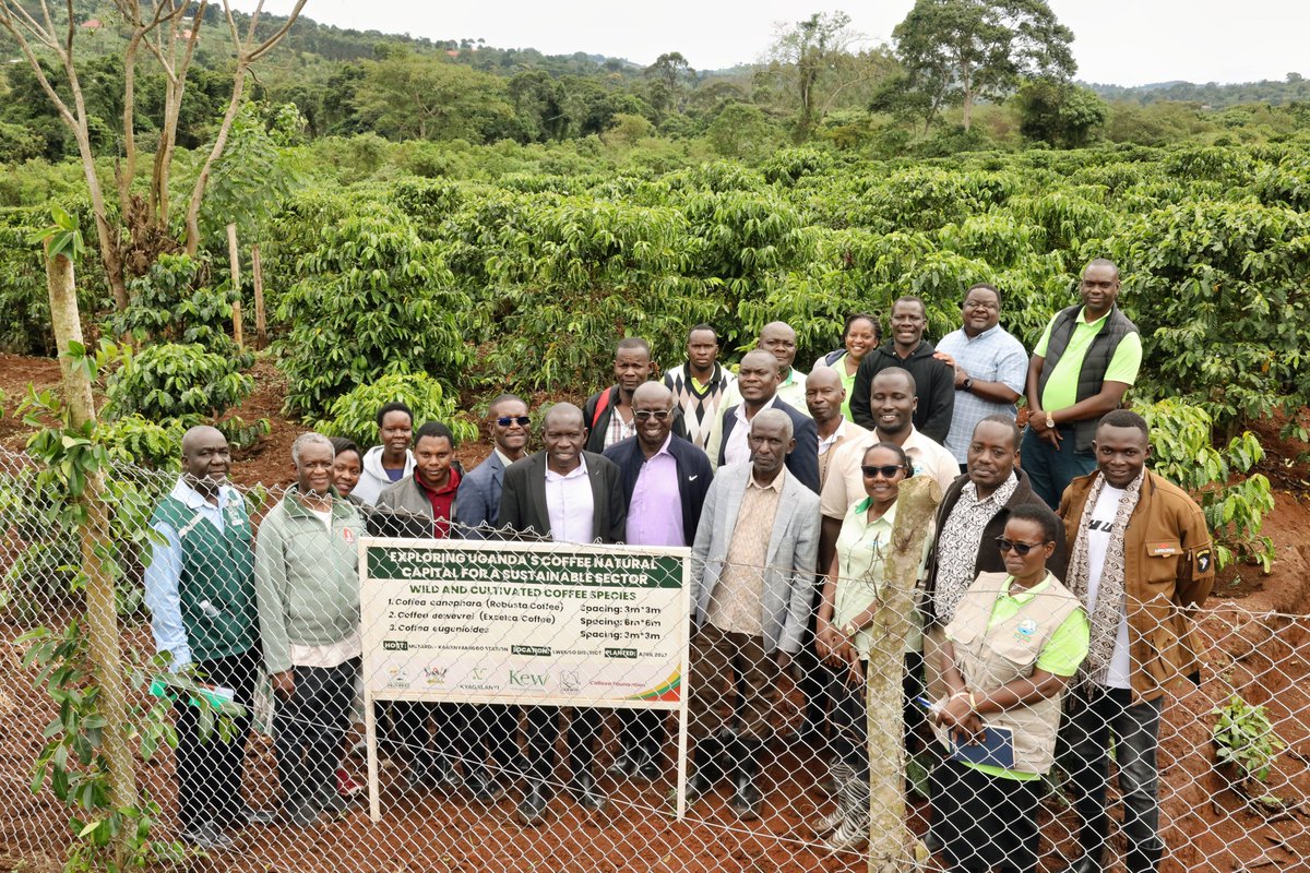 NARO Uganda tweet media