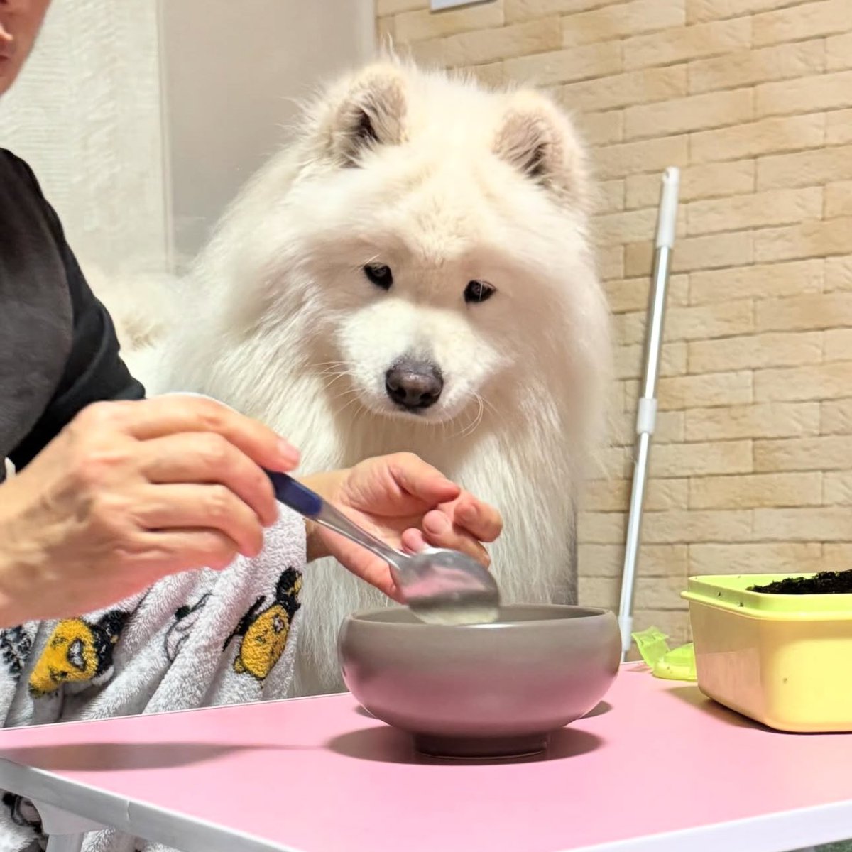 ชั้นรักหม๋าหน้าจ๋อง