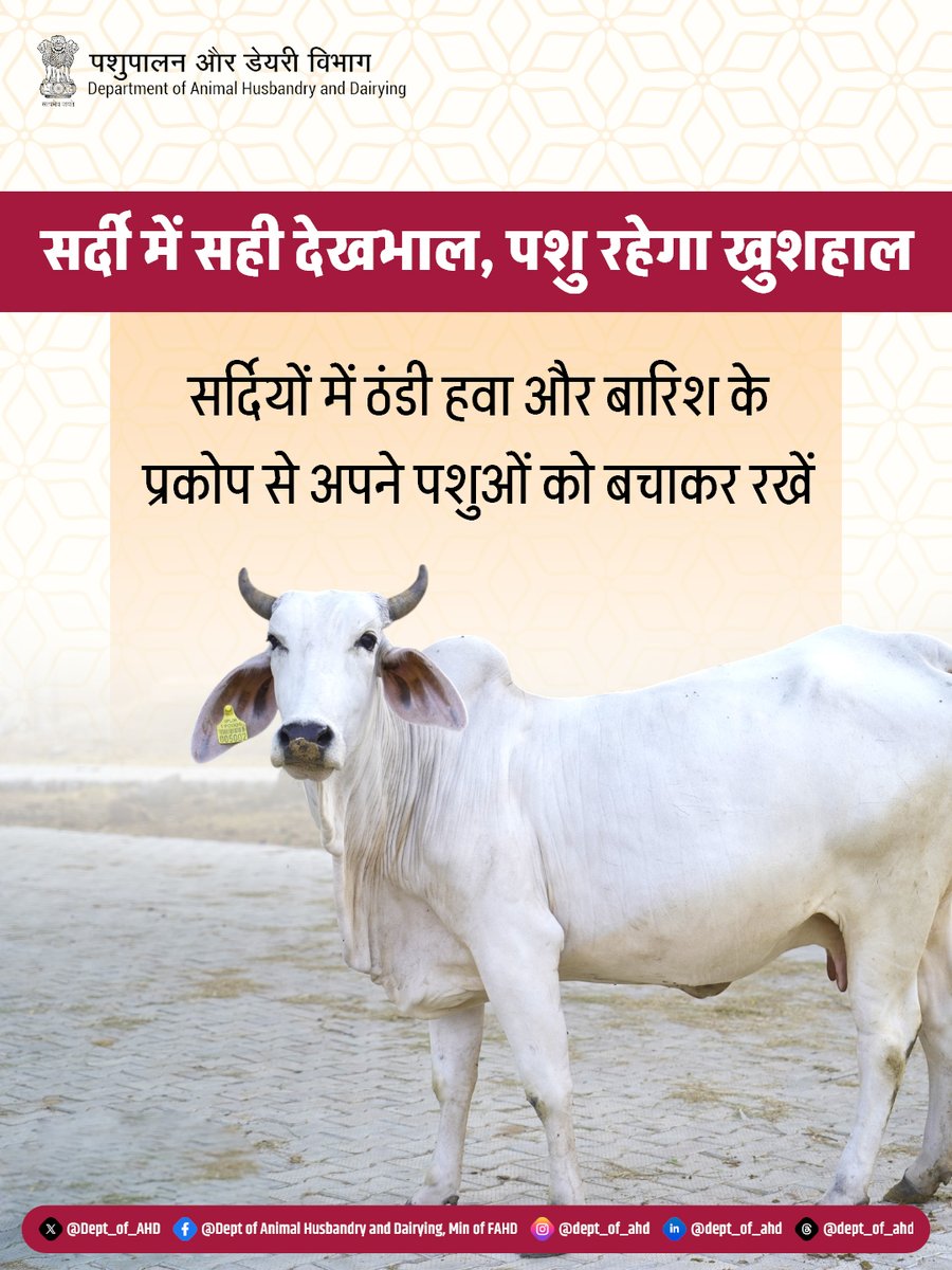 Dept_of_AHD's tweet image. सर्द मौसम में पशुओं को ठंड और नमी से सुरक्षित रखना उनकी सेहत के लिए जरूरी है। 

#WinterCare #AnimalHusbandry #AnimalCare #LivestockCare