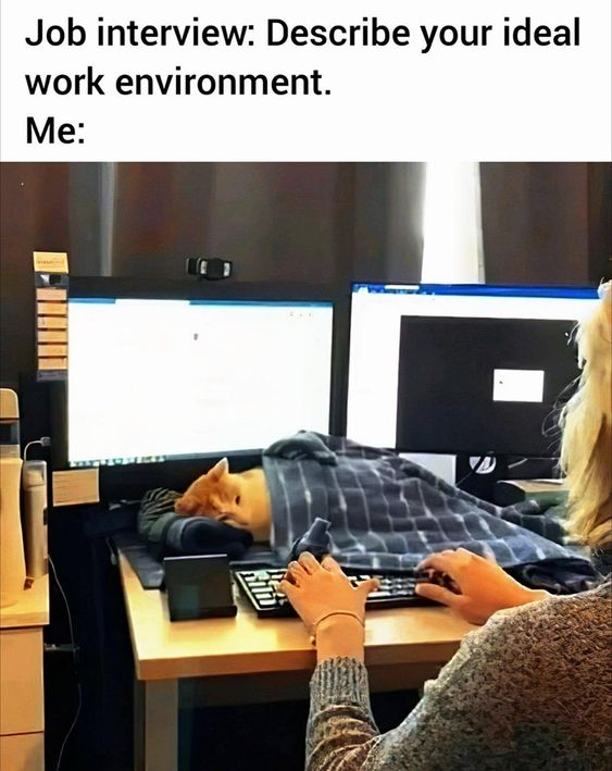 WholesomeMemes tweet media
