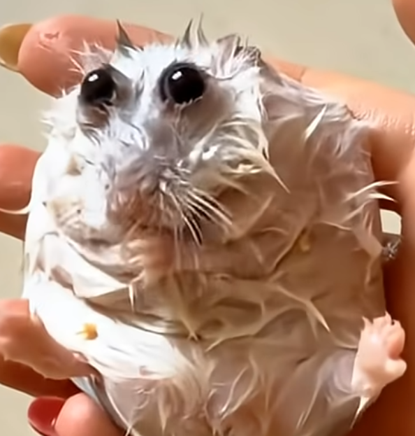 SolidZeroEX tweet media