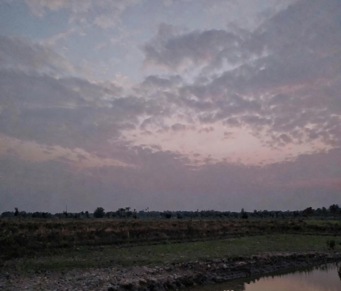 PrantoP61's tweet image. Good Evening X Family 

It is not your fault if you are born poor, but it is your fault if you die poor.
#goodevening #poor #Everyone