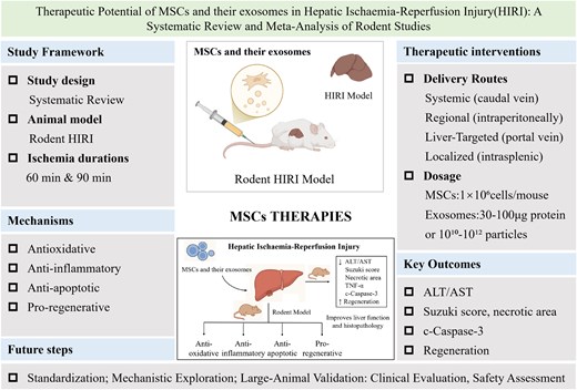STEM CELLS Translational Medicine tweet media