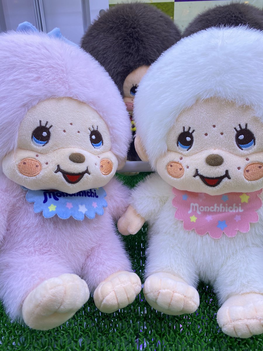 コリも入荷。 水色もある🩵 #モンチッチ コットンキャンディLサイズ