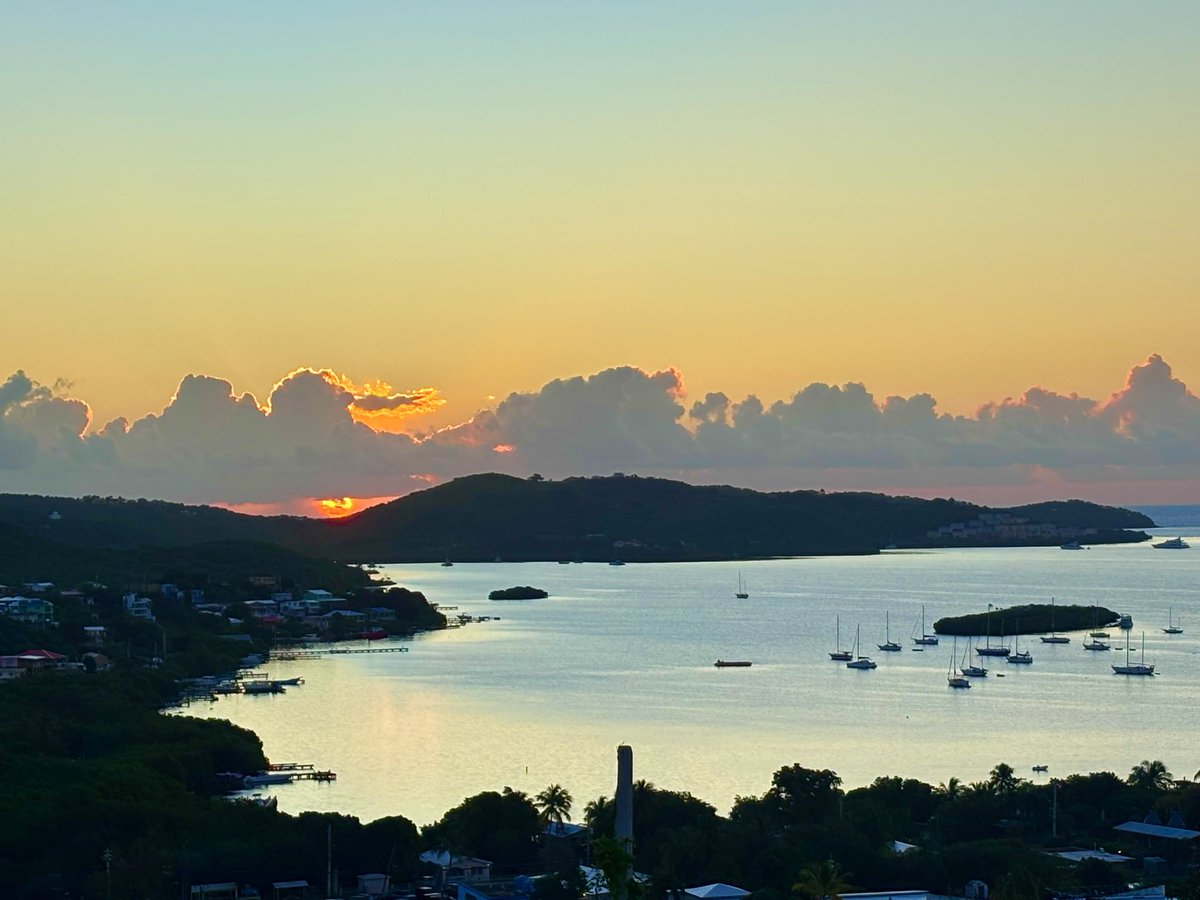 Sandra Mendez Hernandez tweet media