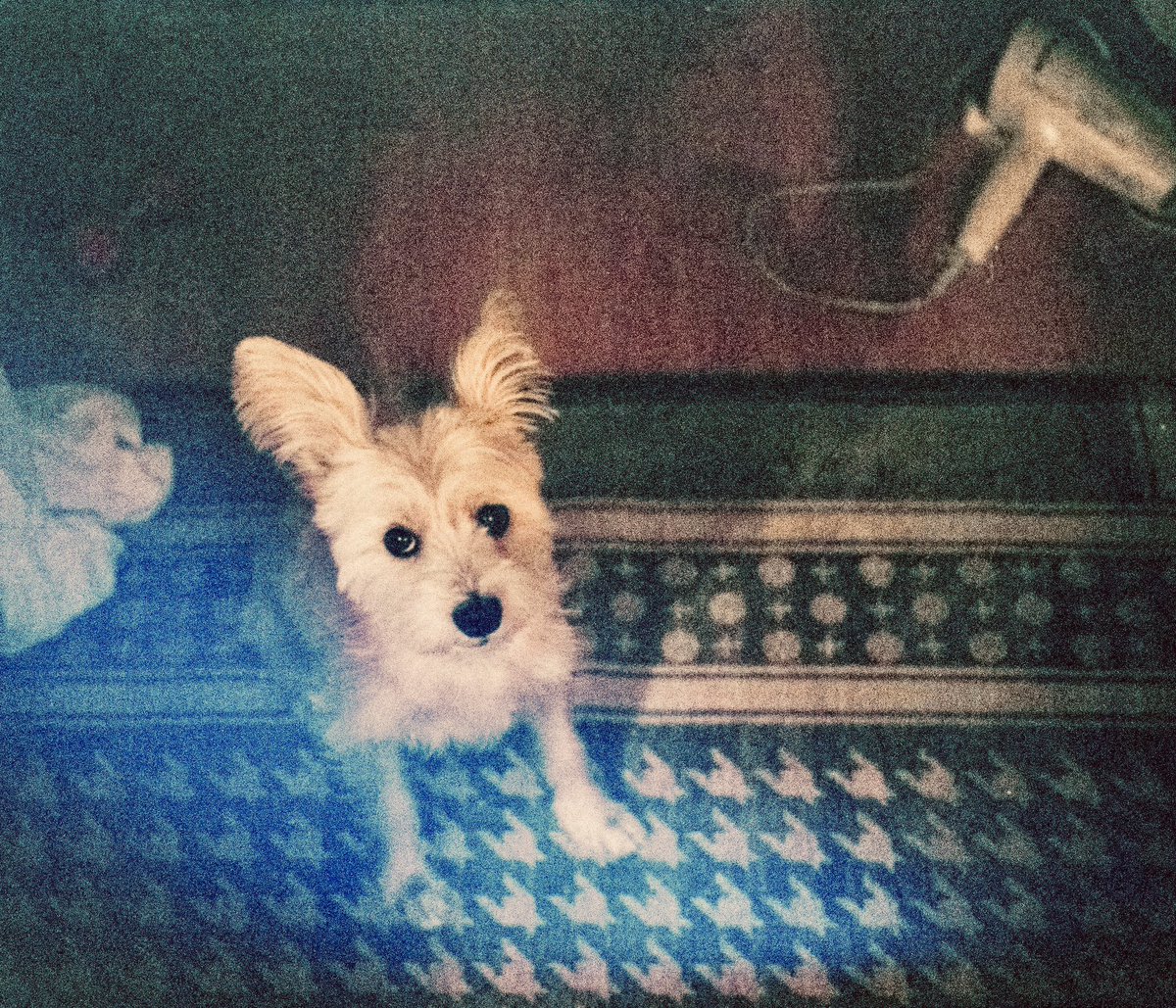 みらぼ tweet media