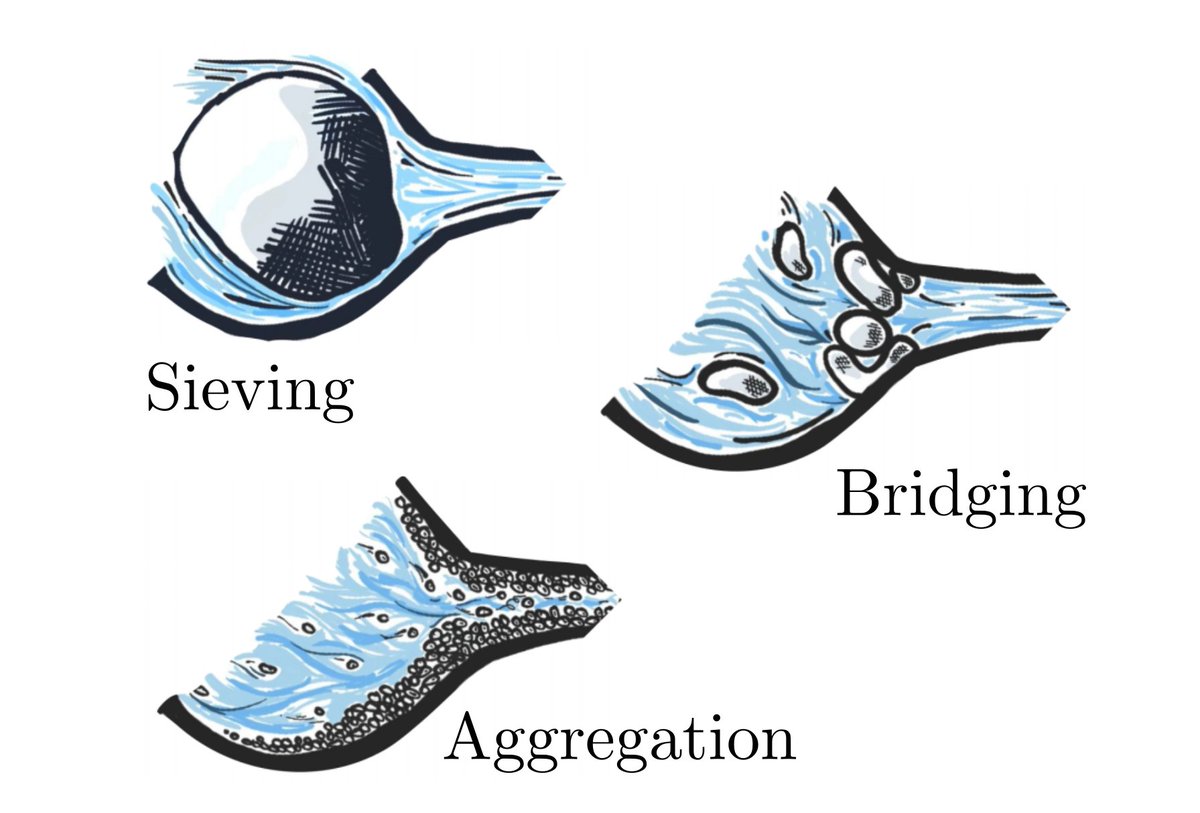 Physical Review Fluids tweet media