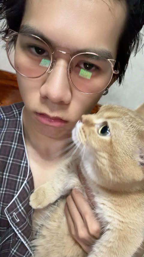 พี่ตุ้ยงอลไรไลเก้อน่ะ !? 🐱💢

#TuiChayatorn #LYKN #mt_liger