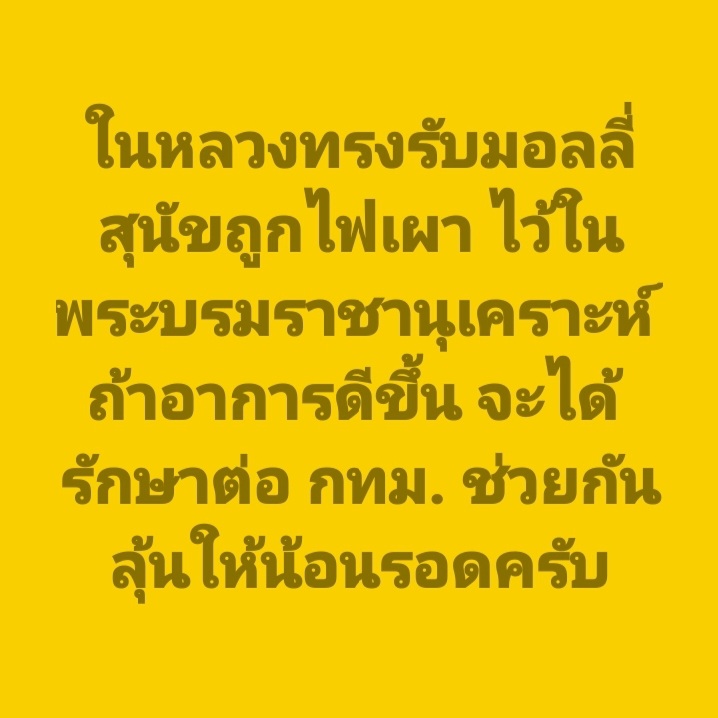 DrnewSuphanat's tweet photo. ขอพระองค์ #ทรงพระเจริญ 🙏💛🇹🇭 https://t.co/uyo15sX9Qw