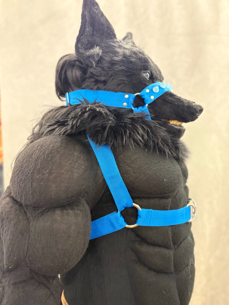 KitsukoFR tweet media