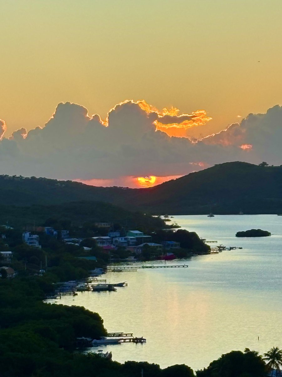 Sandra Mendez Hernandez tweet media