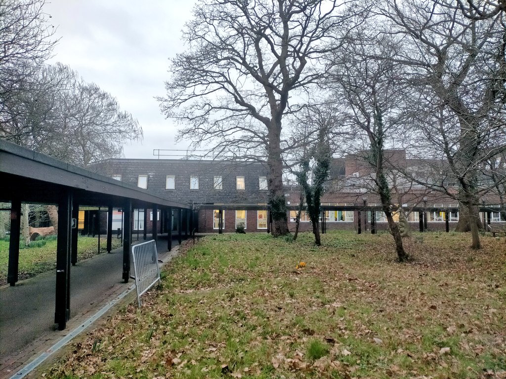 Tim Webster tweet media