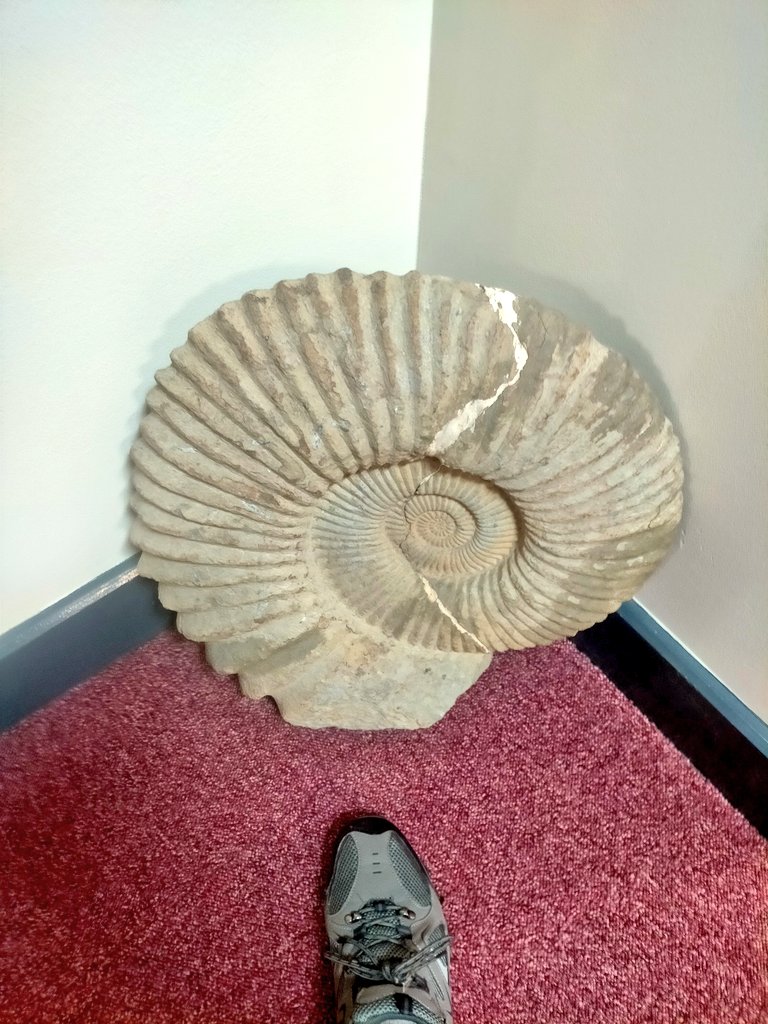 Tim Webster tweet media