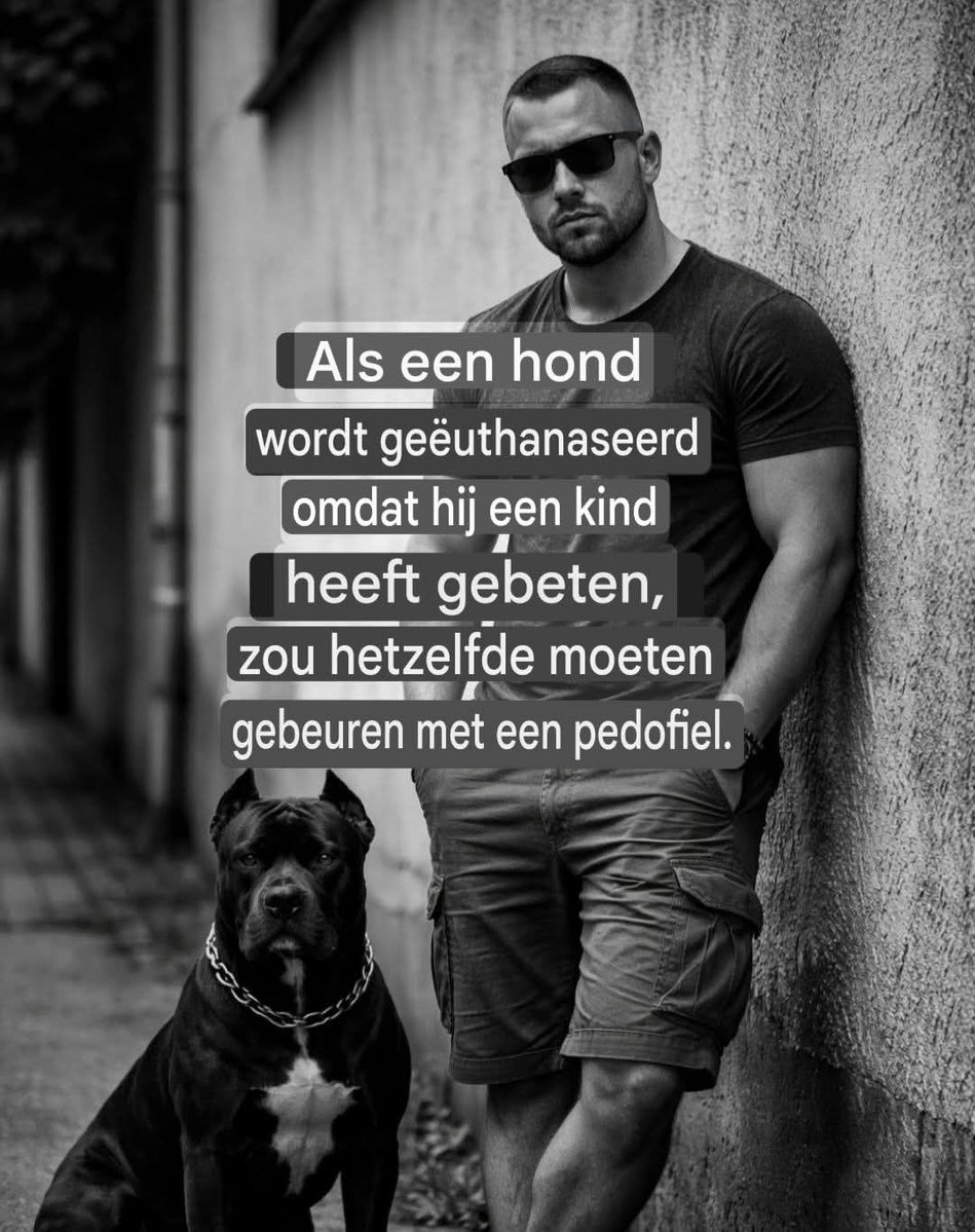 Elco de Groot (@elcodegroot2) on Twitter photo 