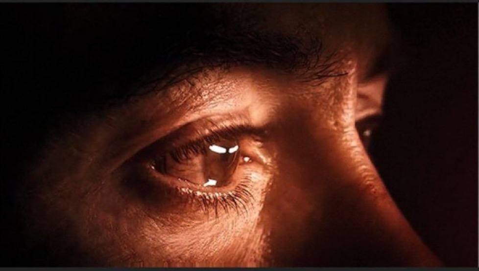 cryptodzilla's tweet image. 