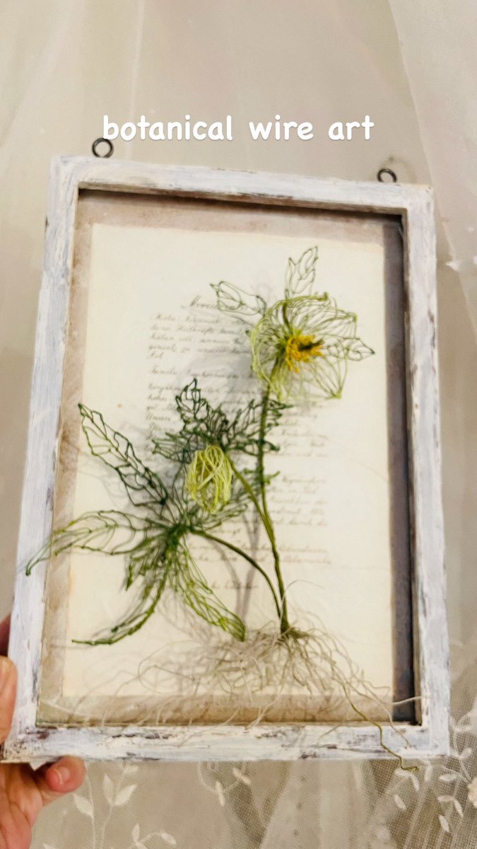 5e4x2MBIZDJgtmB's tweet image. アンティークの植物図鑑から
クリスマスローズ
#wireart  
#botanical
#botanicalwireart