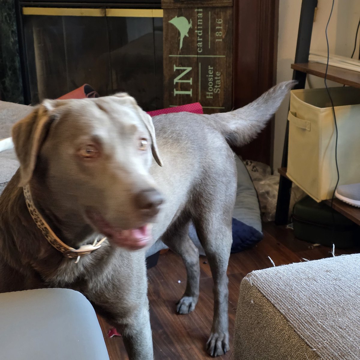 Ashley Reed tweet media