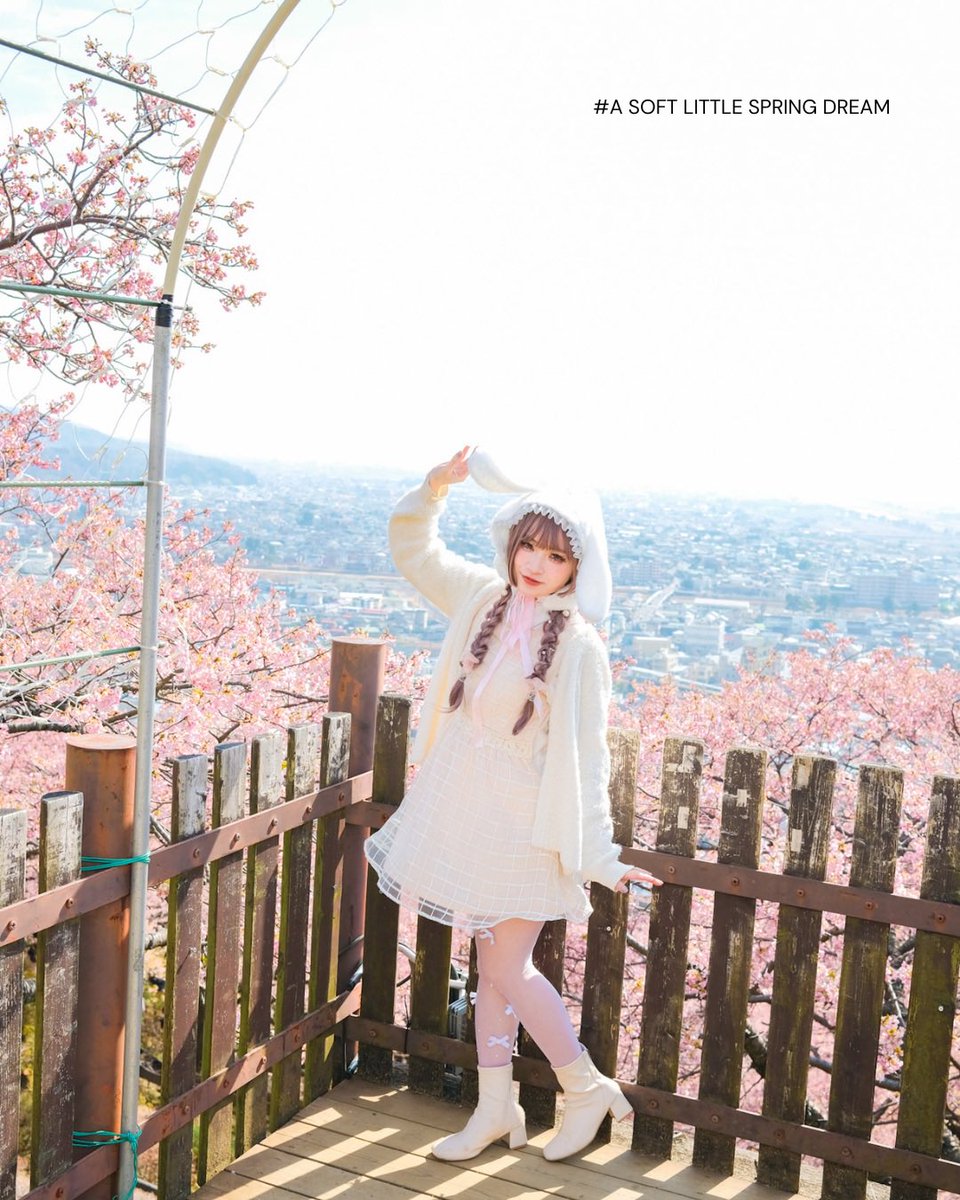 桜の国から来たうさぎです！♡

#河津桜　#ポートレート
