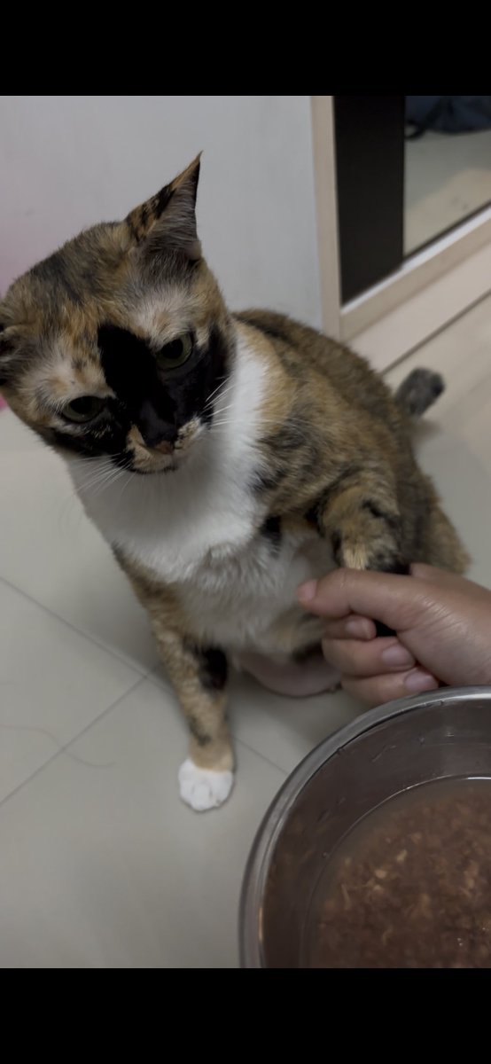 หน้าแบบ55555555555555555