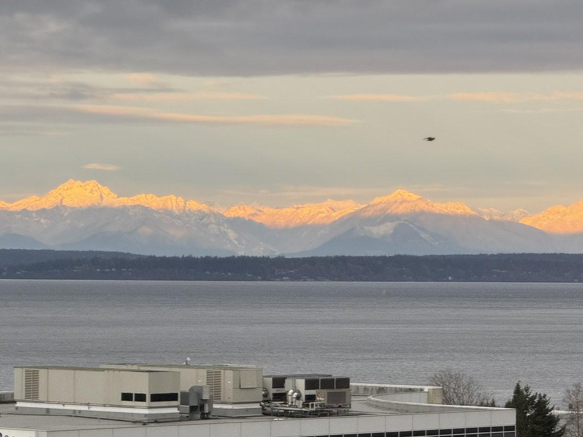 Denise Whitaker🏃‍♀️ tweet media