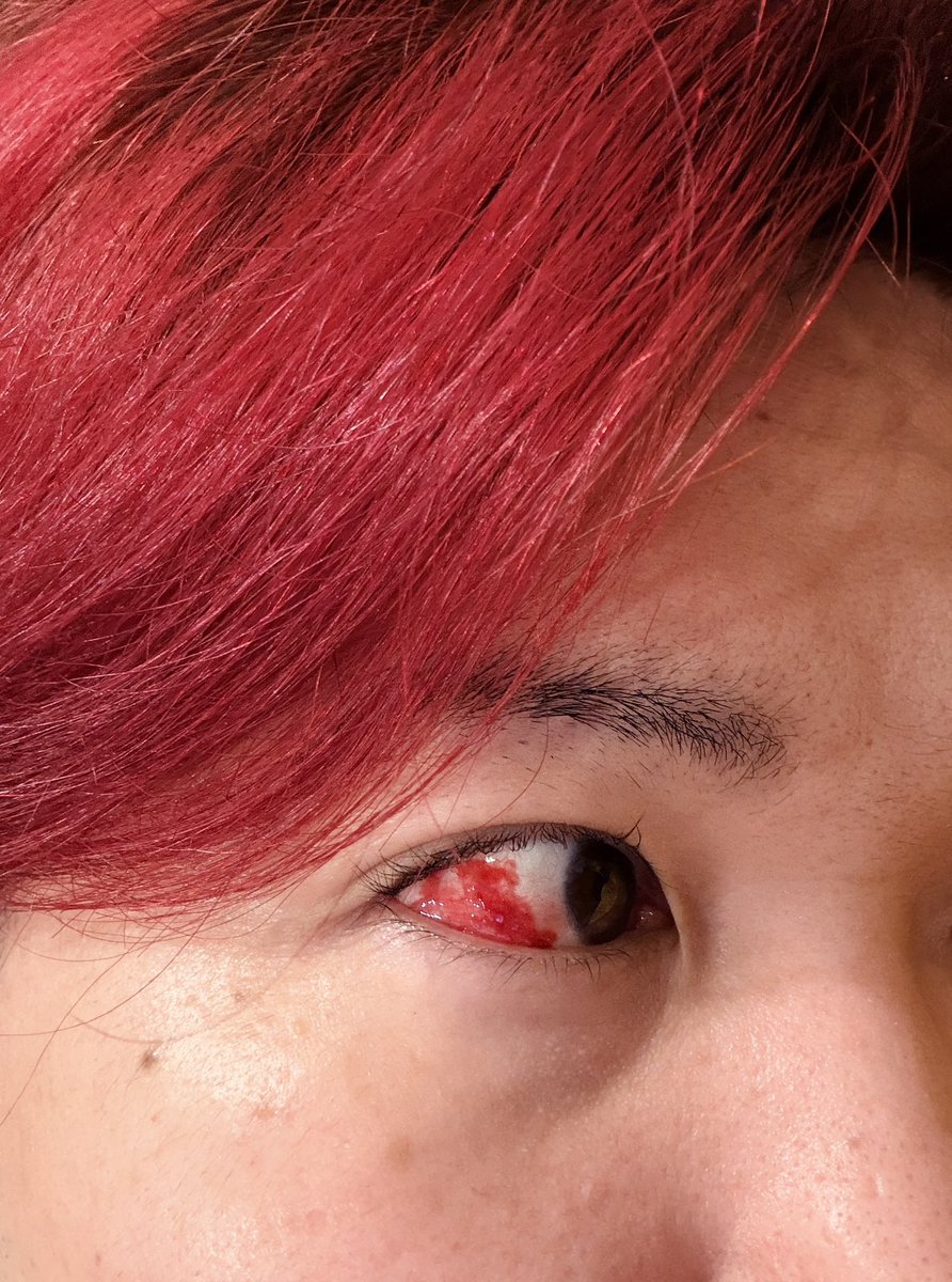 りゅーくん🐻🔔公式 tweet media