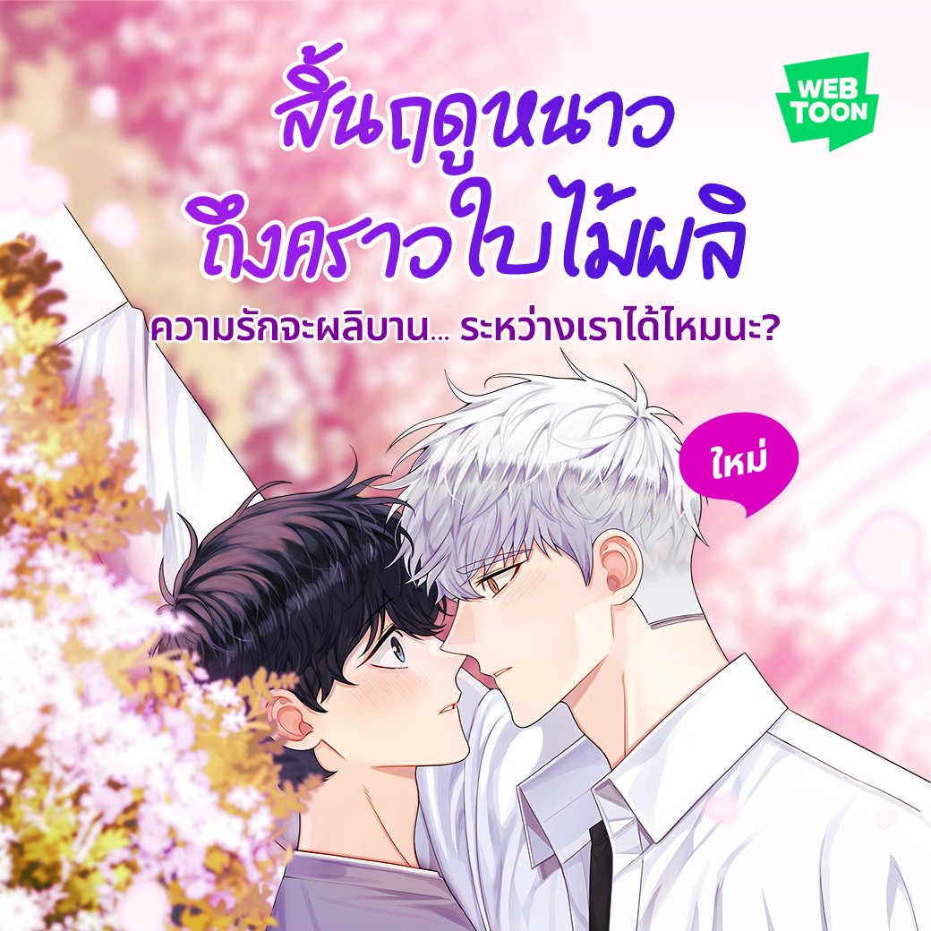 ซากุระในสายลมหนาวโปรยปราย 🌸
👉🏻 webtoons.onelink.me/Jzmu/c822r8dt

เมื่อความสัมพันธ์ที่เหน็บหนาว
กลับมาอบอุ่นและผลิบานอีกครั้ง
อ่านเรื่องใหม่ได้เลยที่ WEBTOON

#สิ้นฤดูหนาวถึงคราวใบไม้ผลิ #เว็บตูนวาย #WEBTOONTH