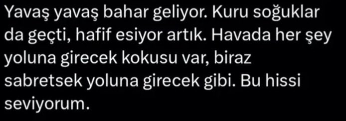 Mete Han tweet media