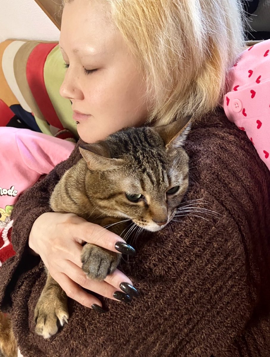 anier_kanrinin's tweet image. お昼はお久しぶりの #MOW ホルモンうどんでした😋

りなたん👧🏻買ったばかりのハート柄パジャマ可愛い♡