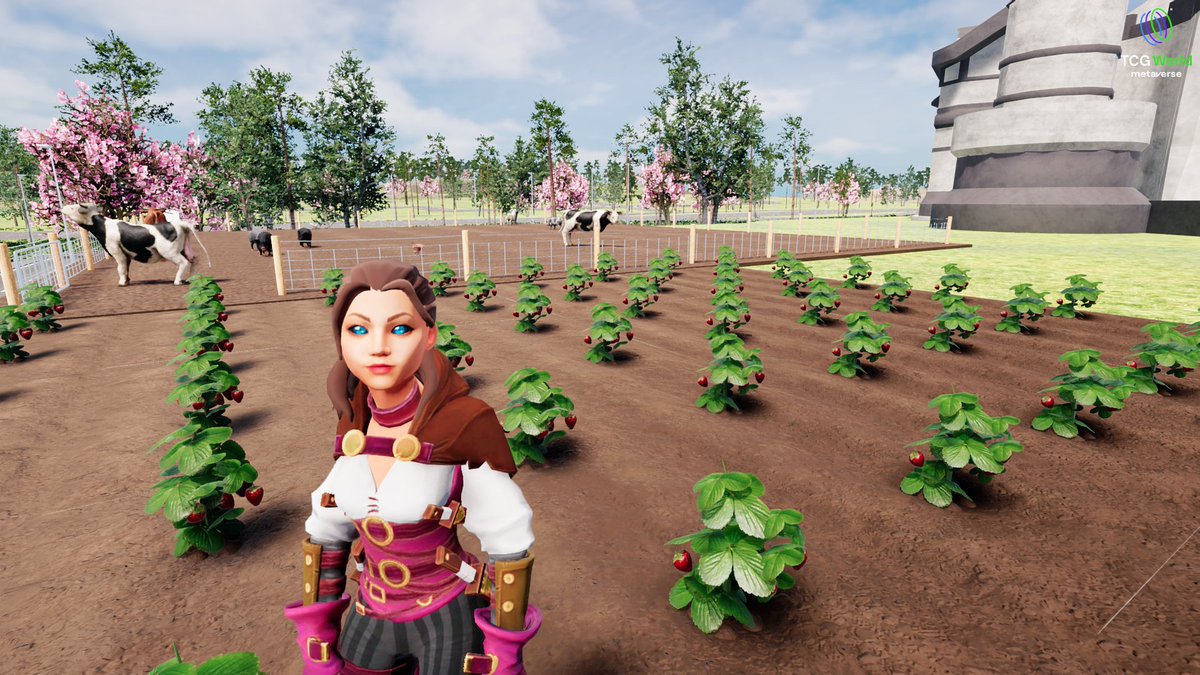 PJ Krypto tweet media