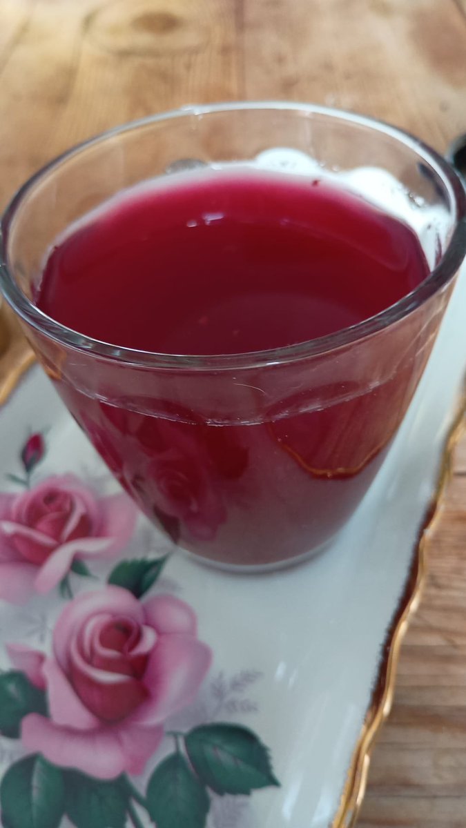 AstridLaLalove's tweet image. Volgens mij is het al wel weer wine o'clock. 
#kombucha met blauwe bessen.
Proost.
x.com/AstridLaLalove…