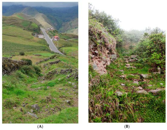 Geographies MDPI tweet media