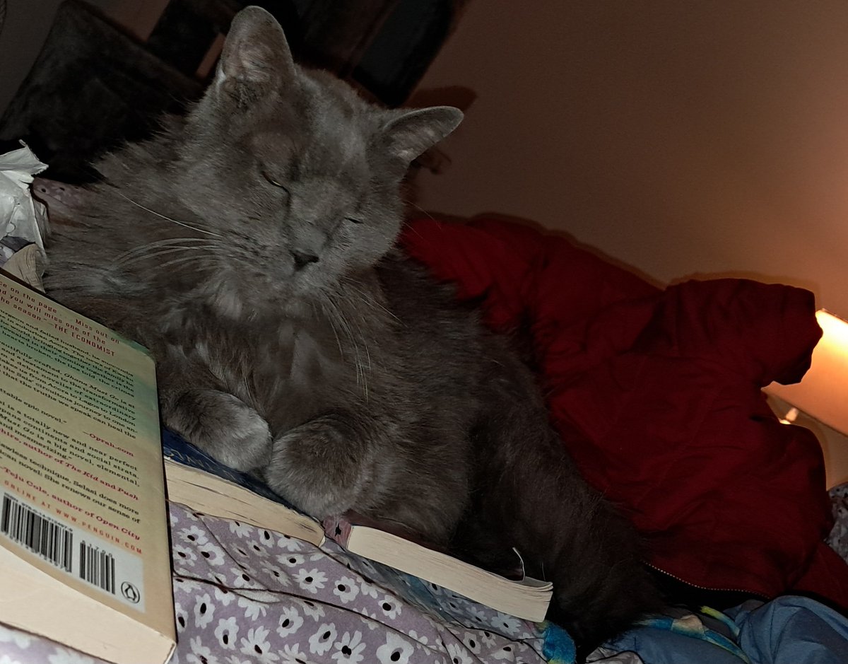 Flaco J. Cattovich tweet media