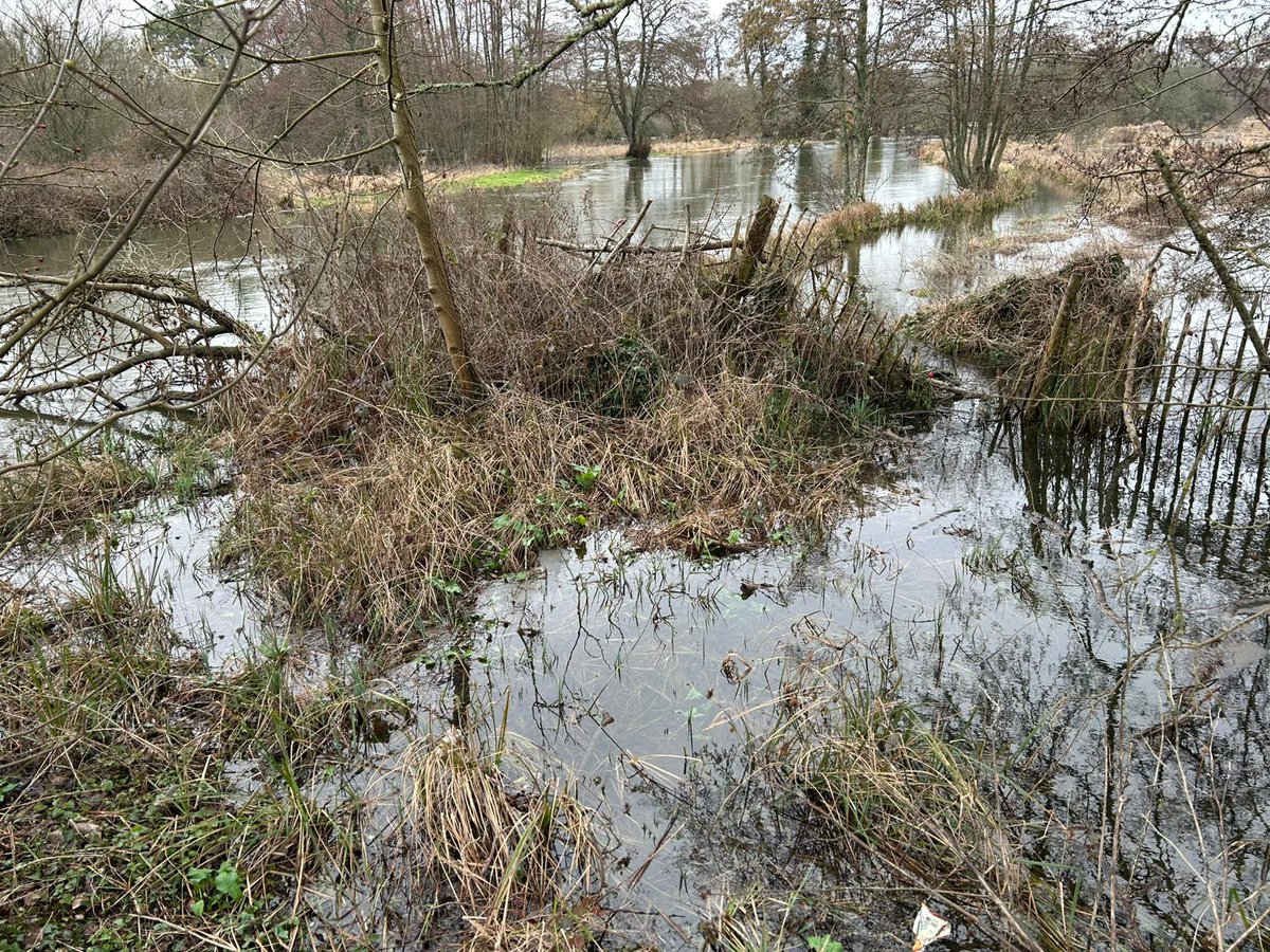 John O'Flynn tweet media